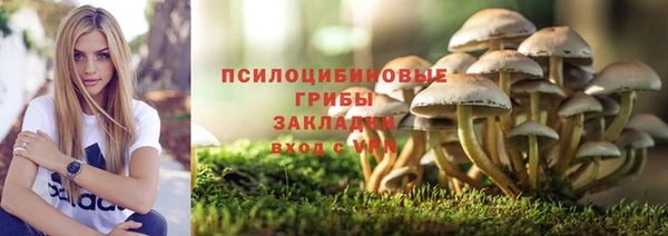 PSILOCYBIN Балабаново