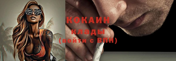 PSILOCYBIN Балабаново