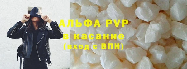 прущие крисы Богданович
