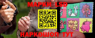 СК Краснодар