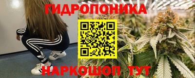 СК Краснодар