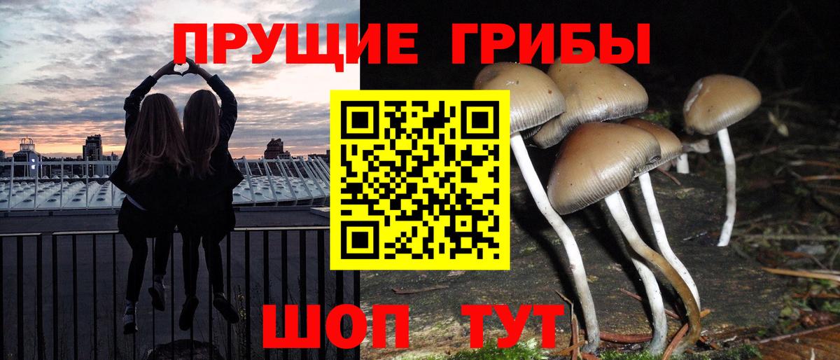 Галлюциногенные грибы Magic Shrooms  Вход с VPN  закладки  Дальнегорск 